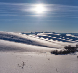 Similar image 20972497