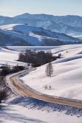 Similar image 20972590