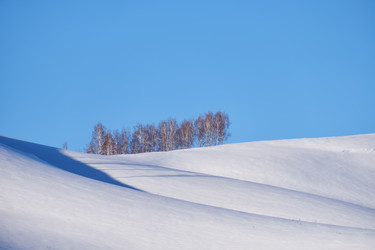 Similar image 20972591