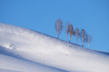 Similar image 20972592