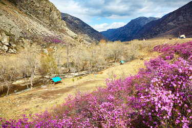 Similar image 20972594