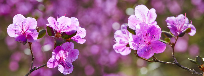 Similar image 20972595