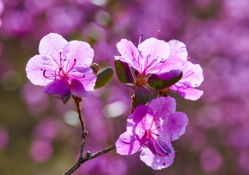 Similar image 20972597