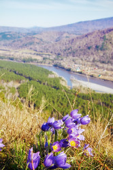 Similar image 20972598