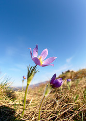 Similar image 20972605