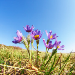 Similar image 20972606