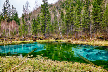 Similar image 20972613