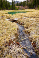 Similar image 20972617