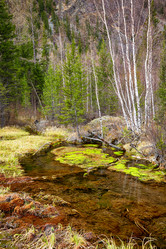 Similar image 20972619