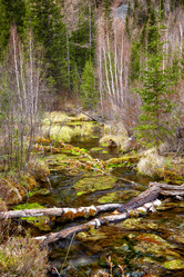 Similar image 20972621