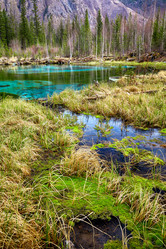 Similar image 20972721