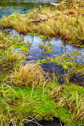 Similar image 20972722