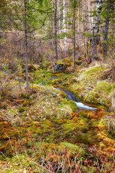 Similar image 20972723