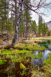 Similar image 20972724