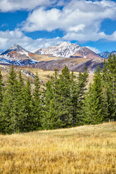 Similar image 20972736