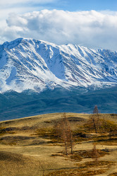 Similar image 20972848