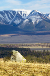 Similar image 20972858