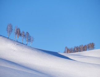 Similar image 20975806