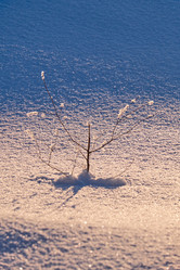 Similar image 20975808