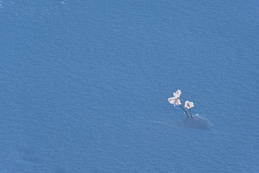 Similar image 20975809