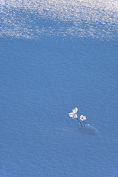 Similar image 20975810