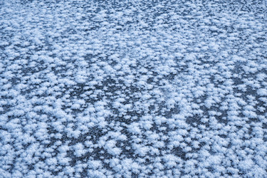 Similar image 20975815