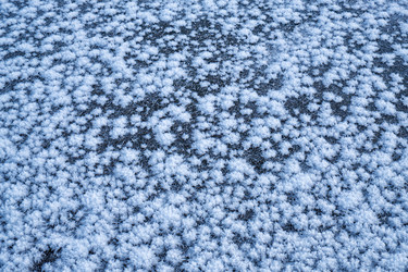 Similar image 20975816