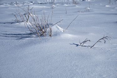 Similar image 20975936