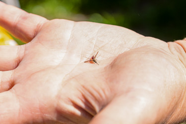 Similar image 20983544