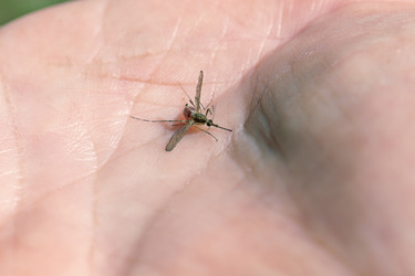 Similar image 20983545