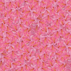 Similar image 20983546