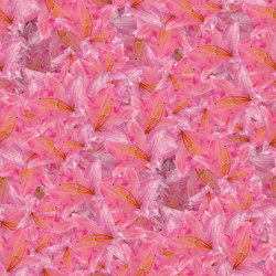 Similar image 20983547