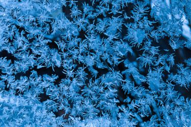 Similar image 20983552