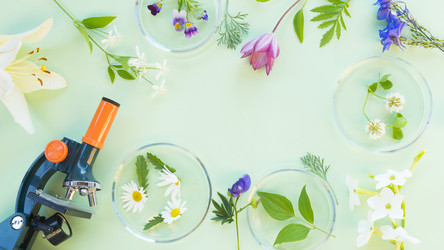 Similar image 20978814