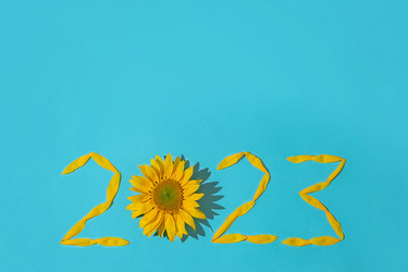 Similar image 20981079