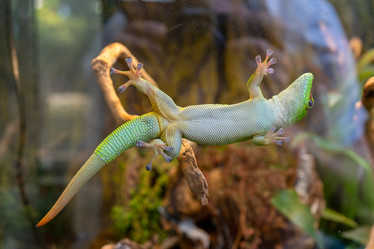 Similar image 20978817