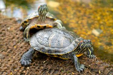 Similar image 20978821