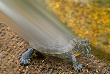 Similar image 20978824