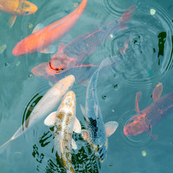 Similar image 20978827