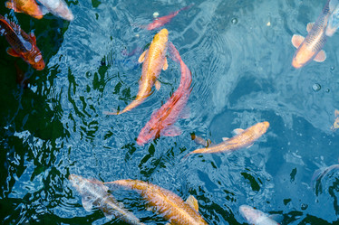 Similar image 20978828