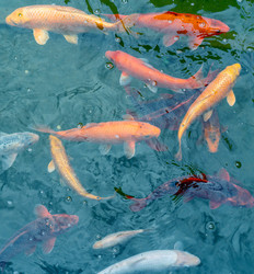 Similar image 20978833