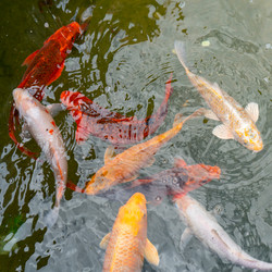 Similar image 20978834