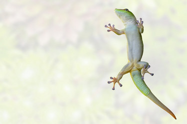 Similar image 20978836