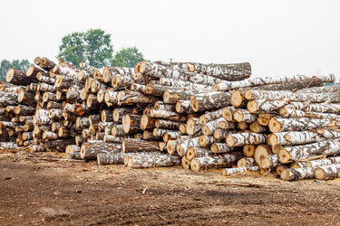 Similar image 20983034