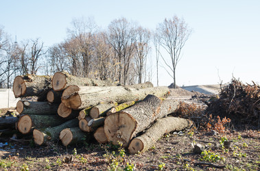 Similar image 20983036