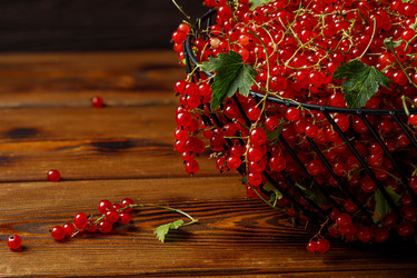 Similar image 20978845