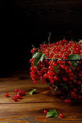 Similar image 20978846