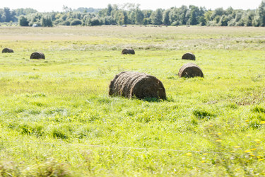 Similar image 20983069