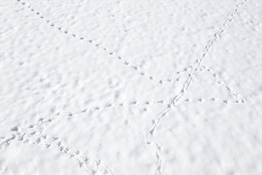 Similar image 20981086