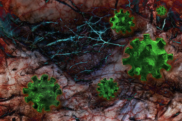 Similar image 20978582